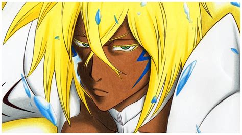 bleach halibel|what happened to tier harribel.